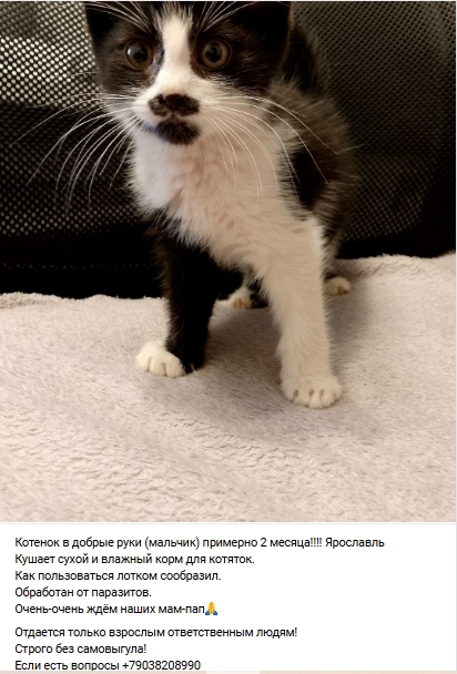 Пост добра. Распростаните, пожалуйста.