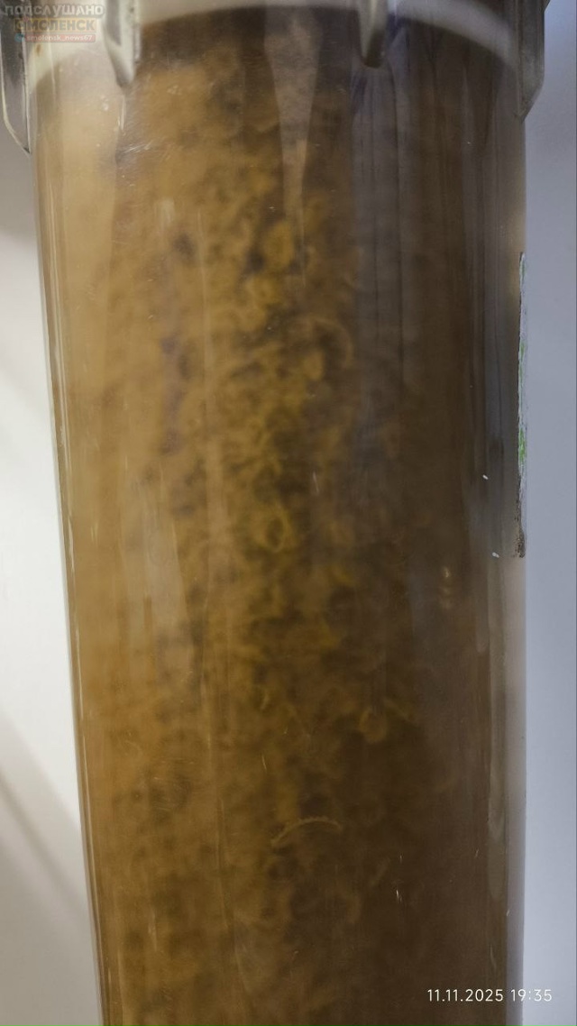 Добрый день!
Прошу придать огласке проблему в Алтухов?...