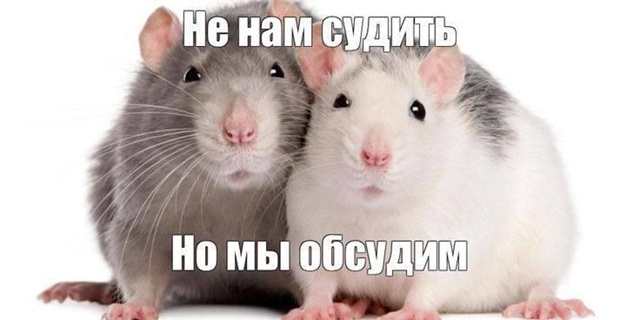 🐀 Сплетни полезны для ментального здоровья, заявляют ...