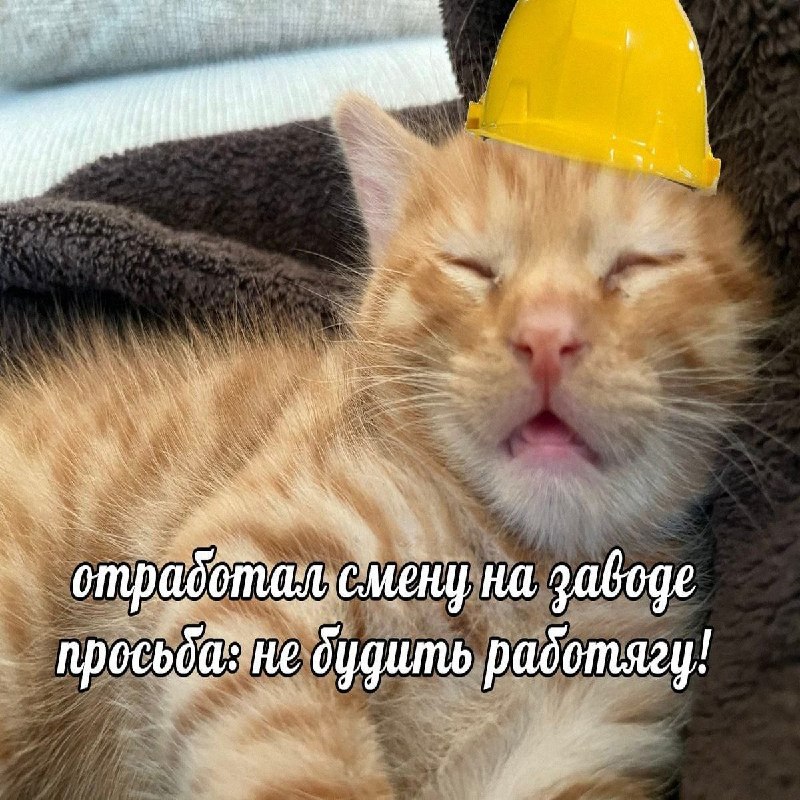Утренняя подборочка