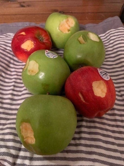 Дети- цветочки жизни! 😂