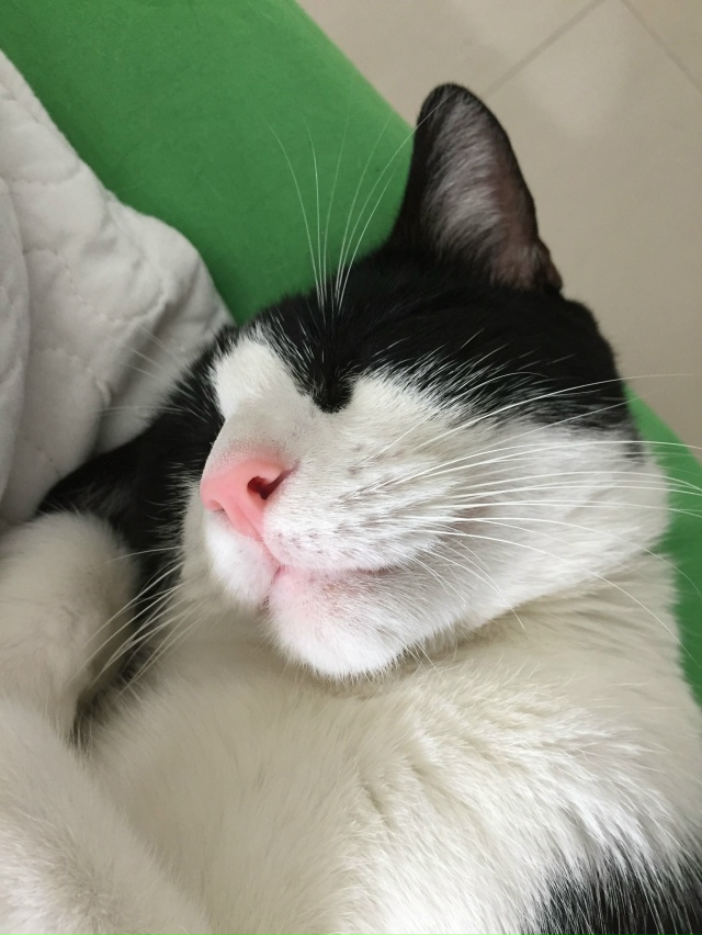 Утро — это такая часть суток, когда завидуешь безработ...