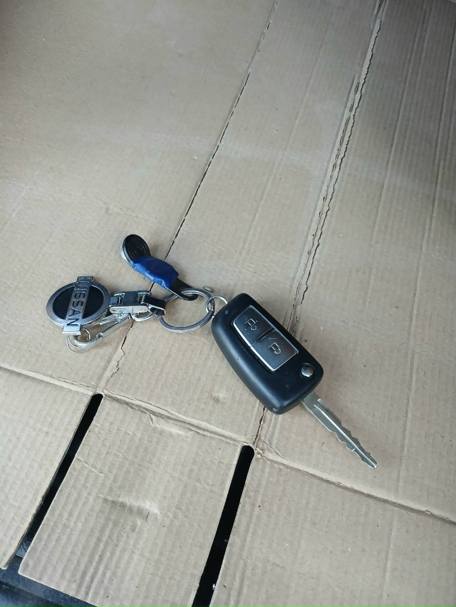 Найдены ключи по дороге в колобово, между деревни Марк...