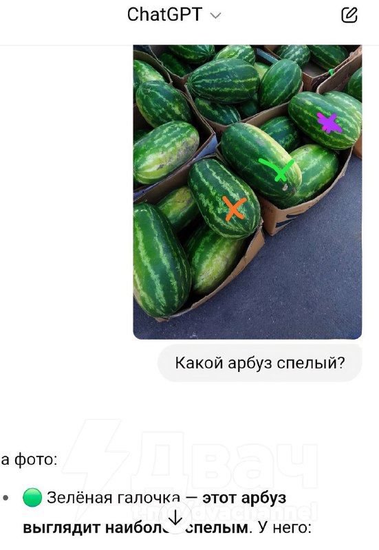 Чел попросил ChatGPT выбрать спелый арбуз. Результат убил.
ИИ больше не доверяем — до таких скиллов