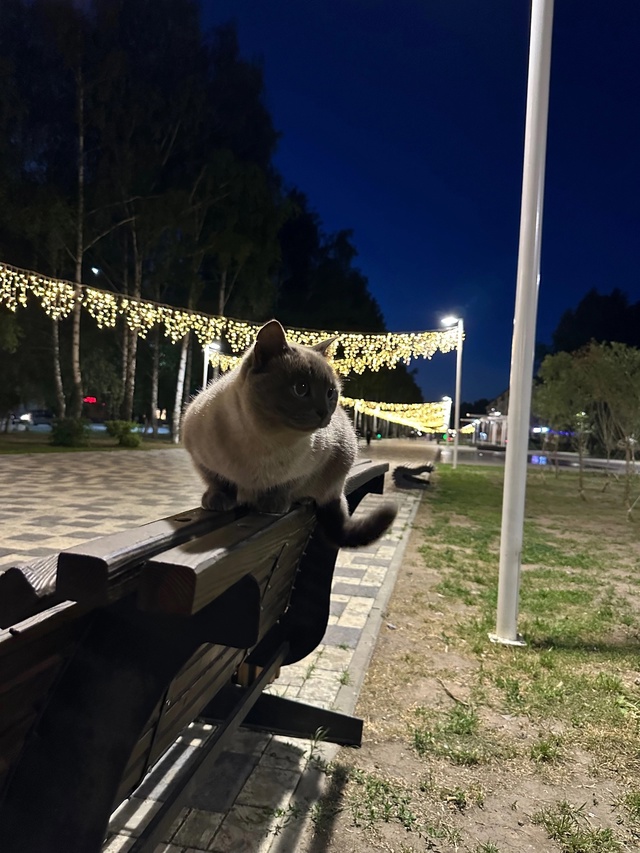 Всем спокойной ночи 😴🌙