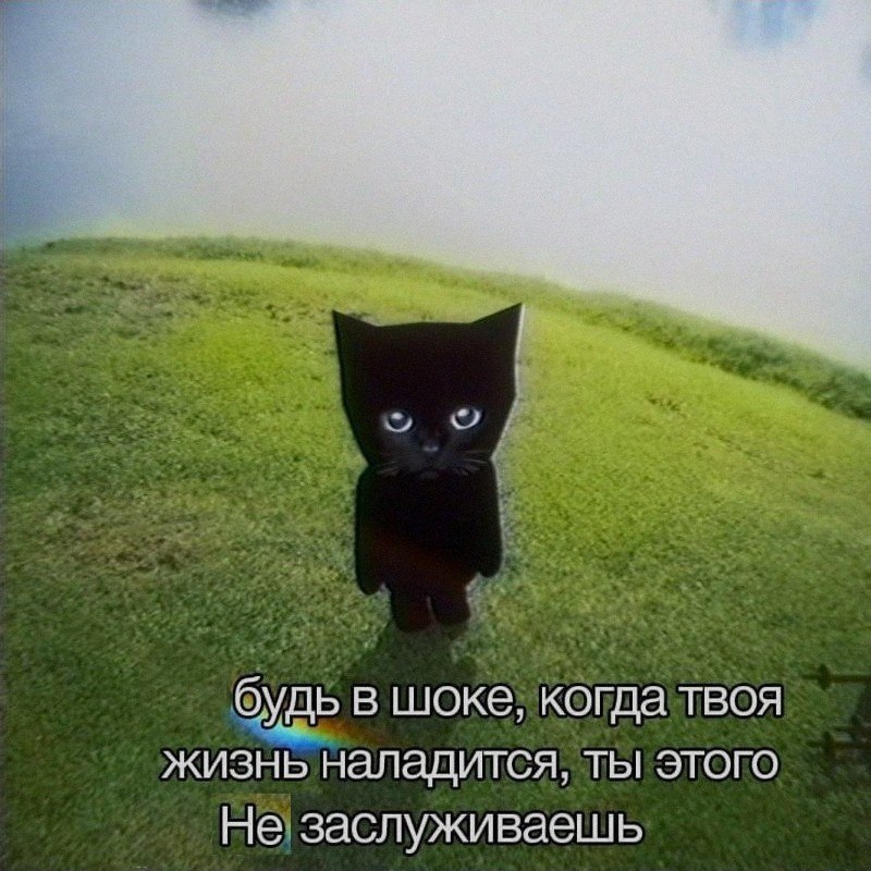 Ночная подборочка
Спать, режим