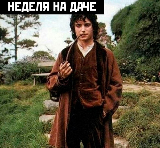 Дачники тут?