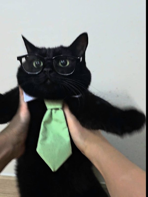 Мистарб кесулькен