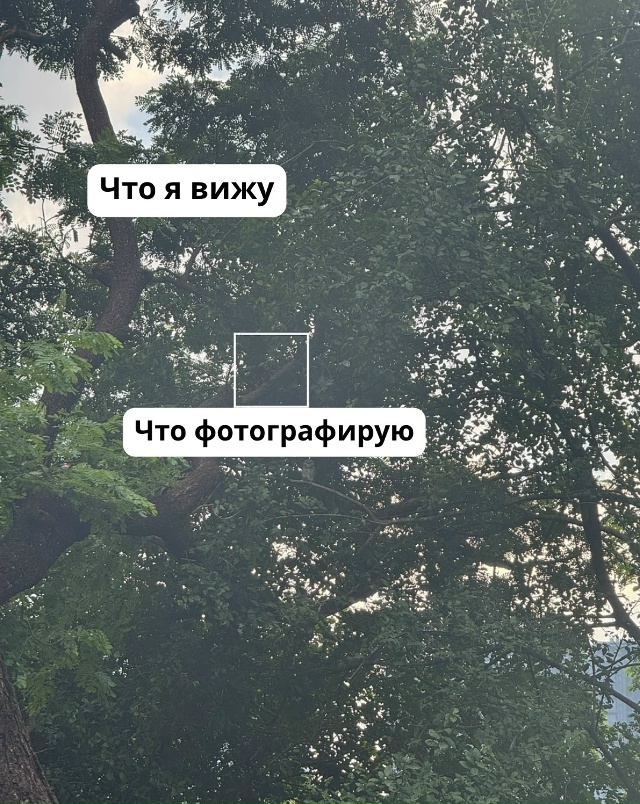 «Чтo я вижy / чтo я фoтoгpaфиpyю»
Потрясающе!