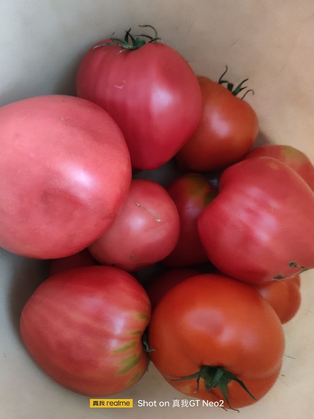 🍅 1000+ жителей города в чате Фермеры Садоводы Салавата....