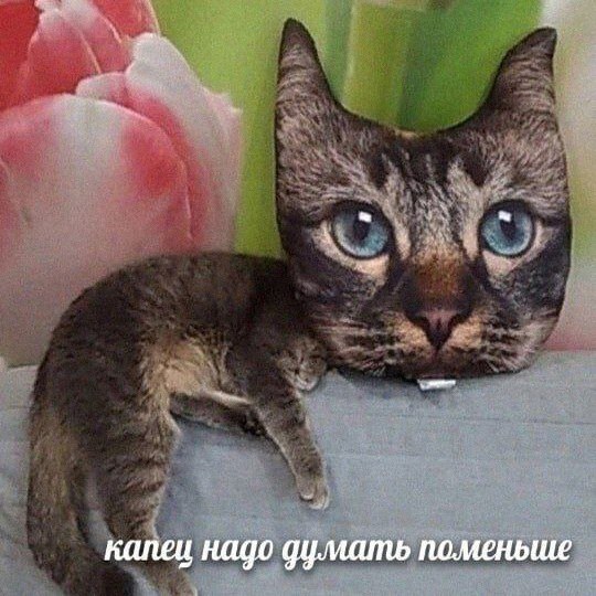Утренняя подборочка