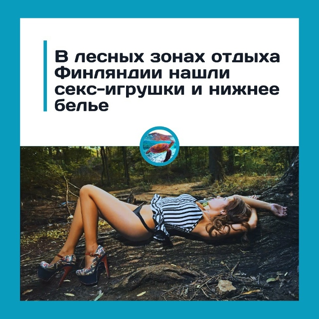 В финских лесах — не только грибы - туристы всё чаще на?...