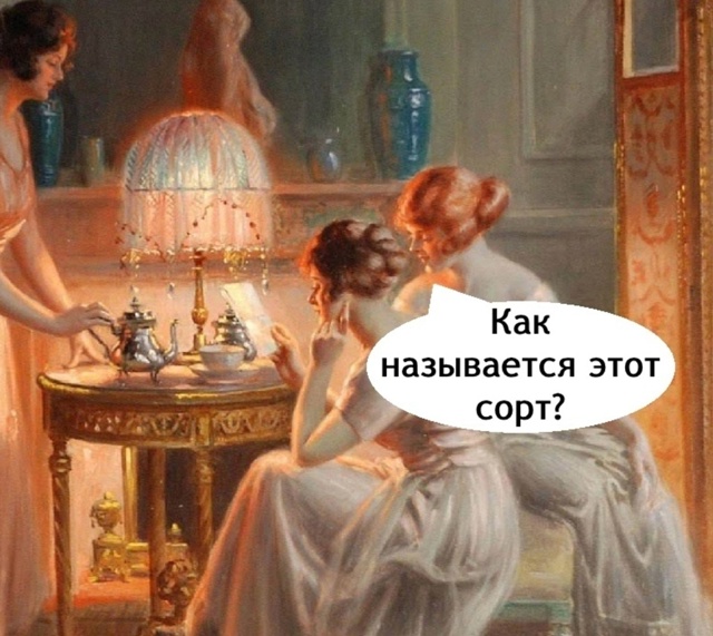 Я тоже хочу в гости на чай к Кате