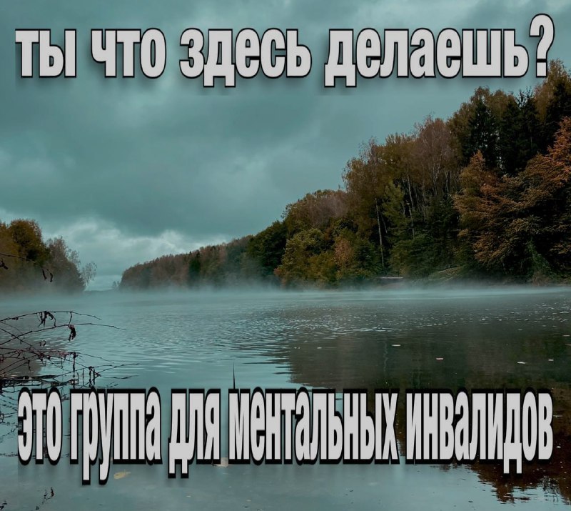 Ночная подборочка
Выходные, не спим