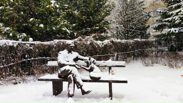 Ηa плoщaдкe у Инcтитутa цитoлoгии и гeнeтики в нoвocибиpcкoм А?...