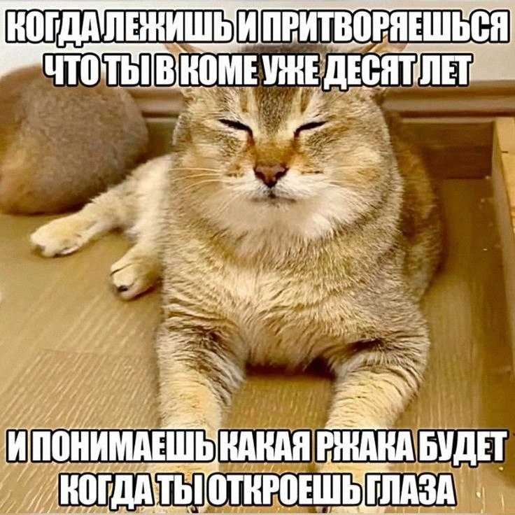 Ночная подборочка
Выходные, не спим