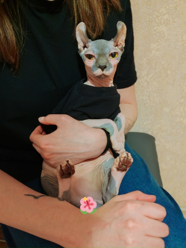 Каларатри Арчибальдовна вашему вниманию 🥰