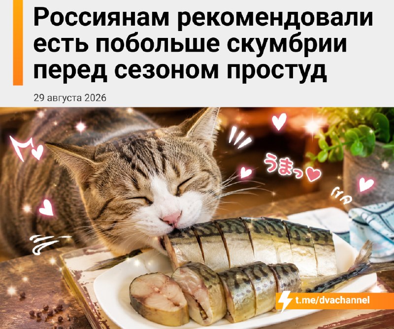 Перед сезоном простуд россиянам посоветовали чаще есть скумбрию — в ней много омега-3 и витамина D,