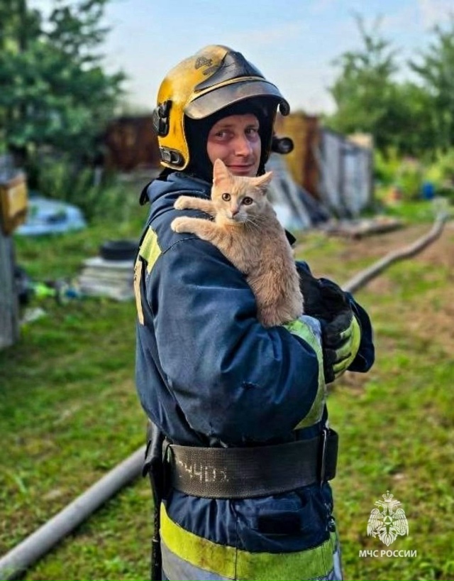 😽 Во время пожара на Колхозной улице огнеборцы спасли...