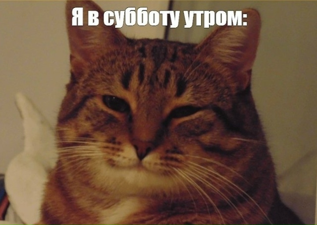 Даже ранним утром