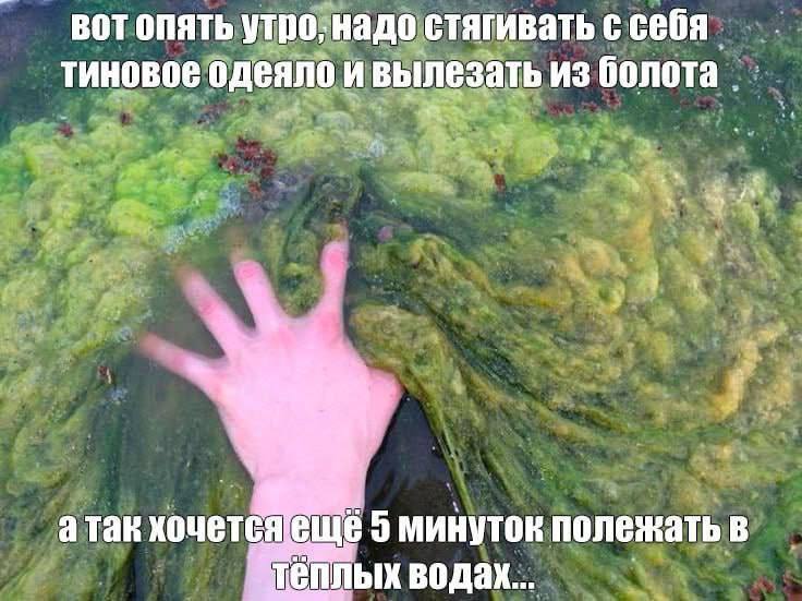 Утренняя подборочка