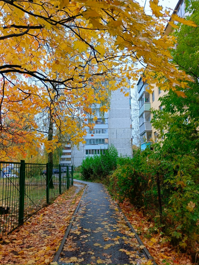 Хорошего дня всем!
🍁 🌤️❤️
