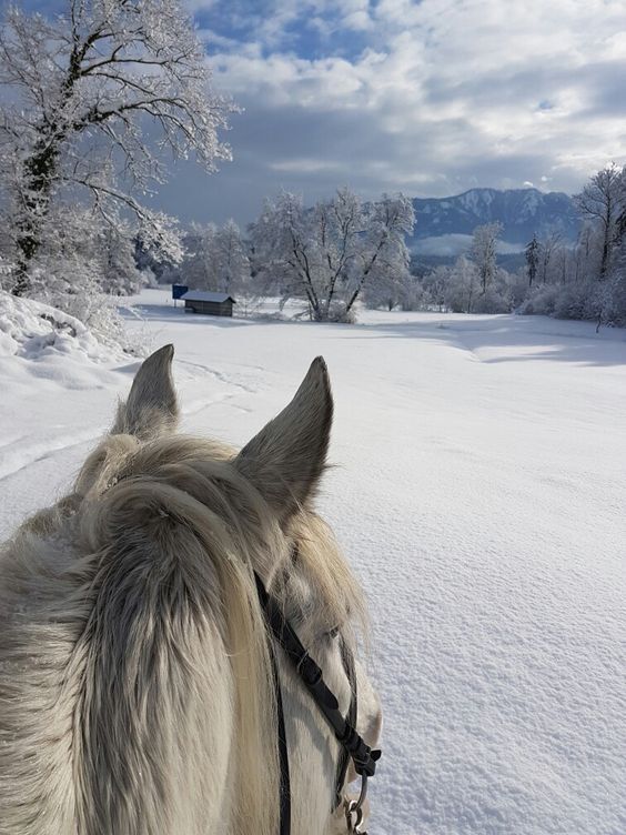 Дыши свободно и проживи в любви этот день.
