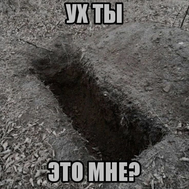 Ночная подборочка
Спать, режим