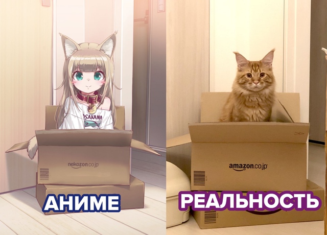 #мемы@fantv_ru