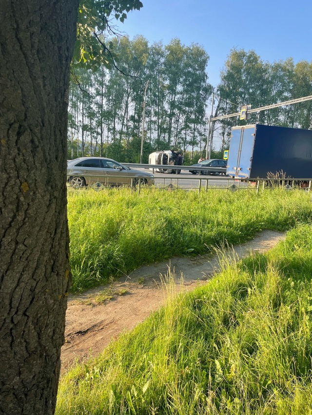В Добром