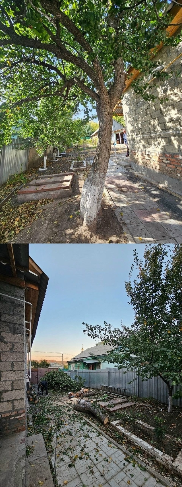 ? ПРЕДОСТАВЛЯЕМ УСЛУГИ ПО ДЕМОНТАЖУ, СПИЛУ ДЕРЕВЬЕВ И...