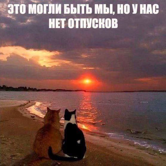 Утренняя подборочка