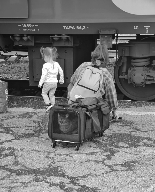 Котобарин в путь собрался. Свердловская область.