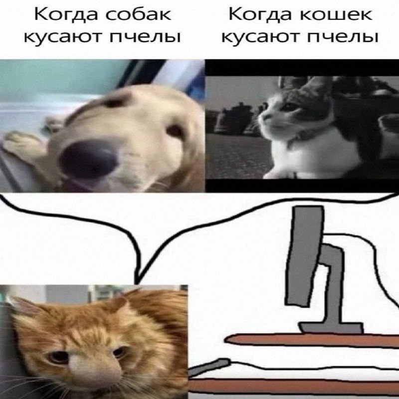Утренняя подборочка