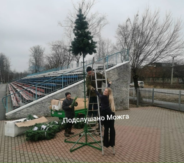 ‼️ Новогоднюю ёлку
‼️ Начали собирать в городском п?...