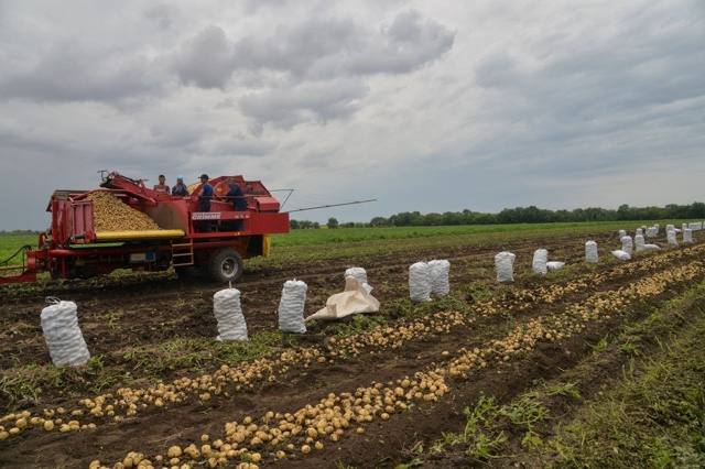 ? Поздравляем с профессиональным праздником всех раб...