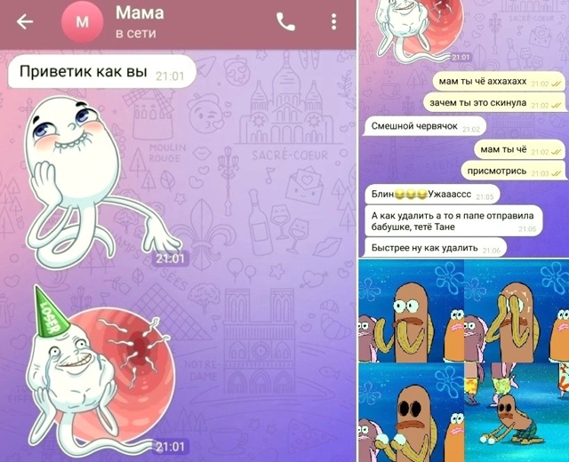 Безумные приколы