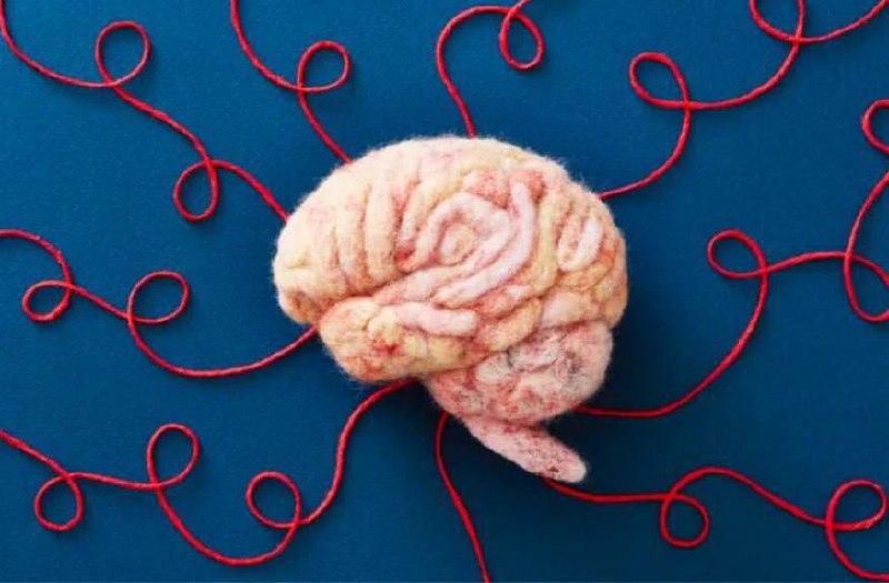 Мысли меняют мозг физически — нейробиологи
Чем чаще думаешь одну мысль, тем сильнее становится «дор