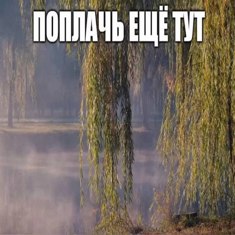 Утренняя подборочка