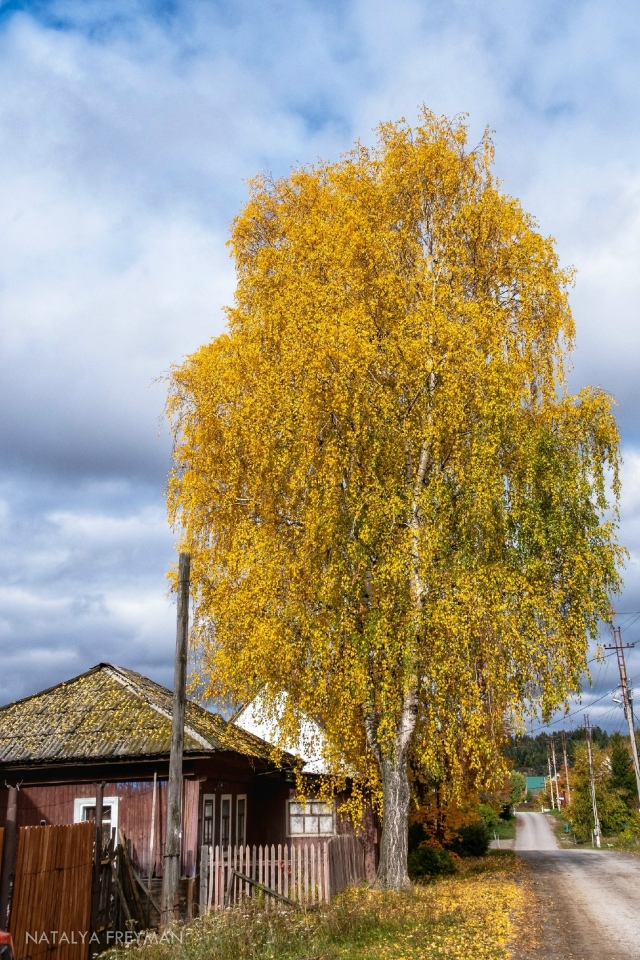 ? Осенняя Полазна
Фото: Наталья Фрейман