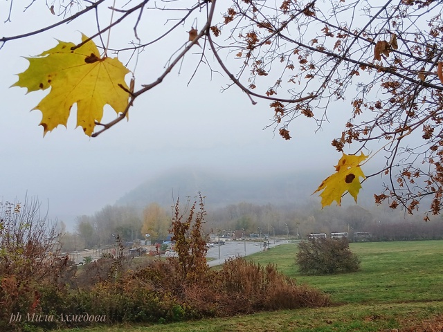 Осенние туманы на набережной. 🍁🌫
Самарская обл.