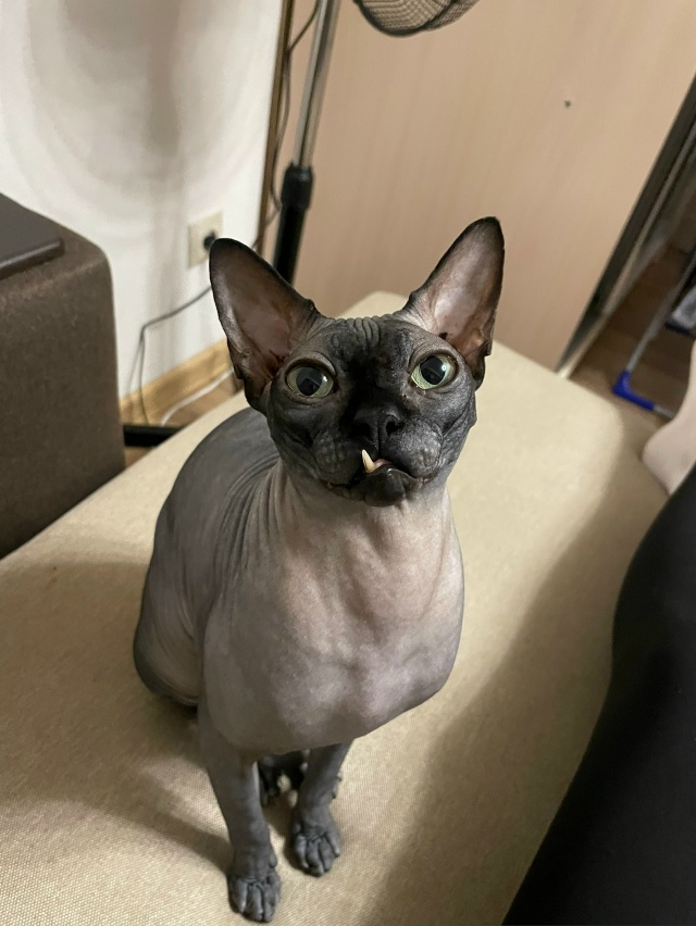 Котосын Лёня