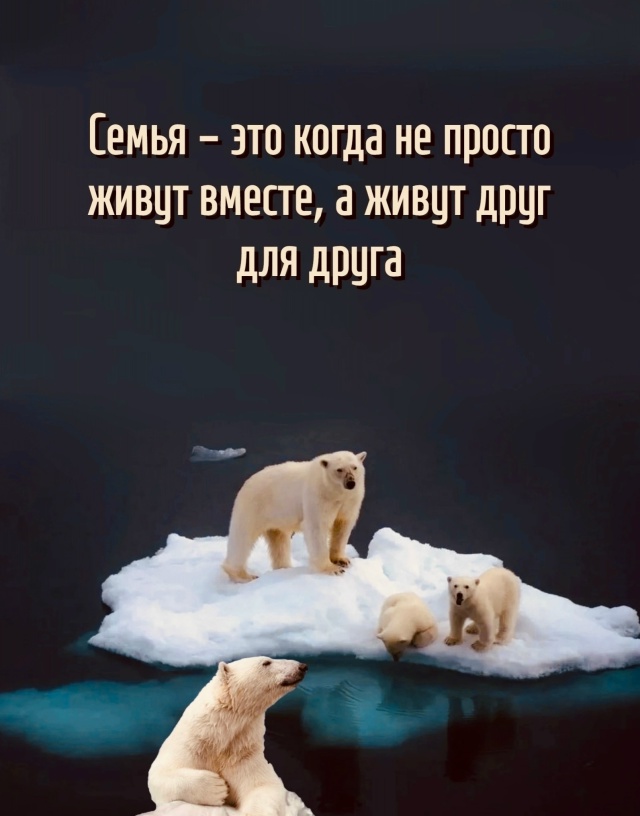 Друг для друга