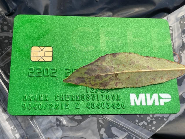 Найдена карта Мир Оксана Черносвитова. на парковке у С?...