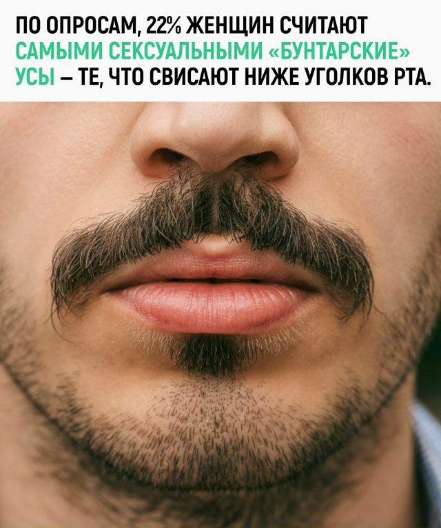 Почти рядом — усы «шеврон» (19%), лёгкая щетина (16%) и полн...