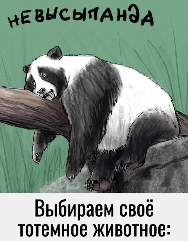 А кто понравился Вам