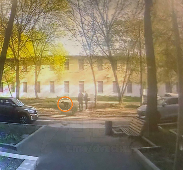 😳Москвичку оштрафовали за то, что она не смыла мочу св...