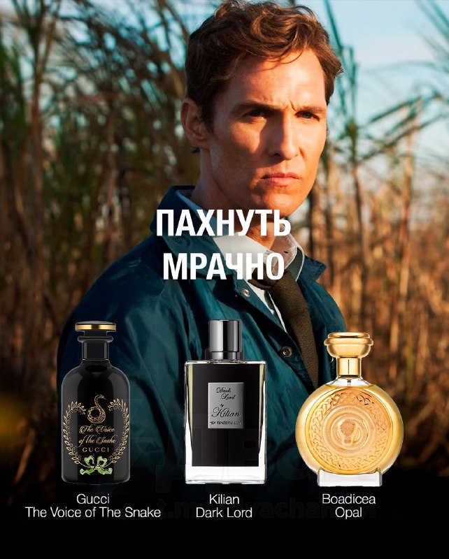 Джентльмены на месте?
Парфюмеры собрали ароматы, которые отлично дополнят ваш образ.
Забирайте себ