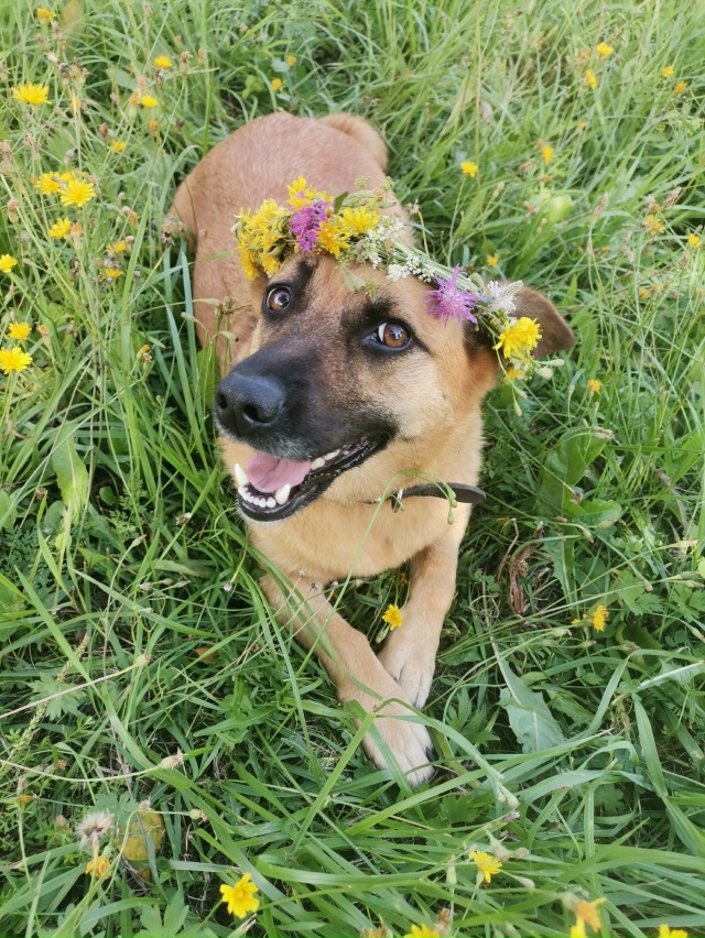 В поиске дома две очаровательные красотки-Дина и Джерр...