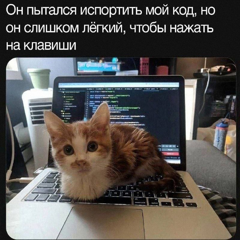 Утренняя подборочка